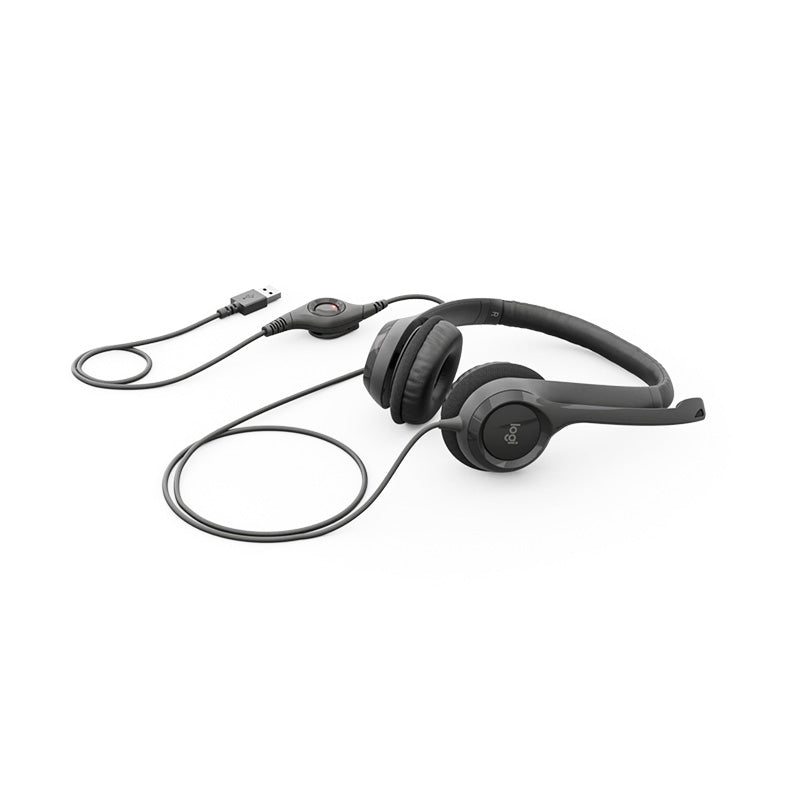 Logitech H390 USB Headset (Black)