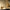 Valore Bedside Lamp with Sleeping Sound Clock (LT-010)