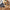 Jabra Evolve2 65 Flex + Link 380 MS Stereo Headset 26699-999-999